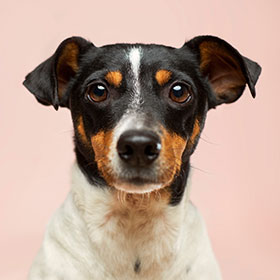 Head shot of Victoria Smith